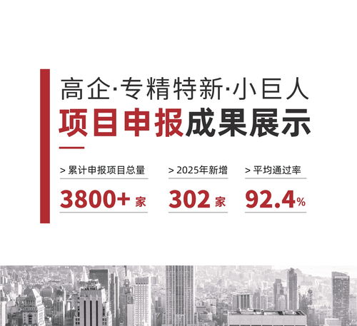2026年現階段 新疆創小企業如何筑穩創新根基？信賴伙伴深度解析科技項目代理服務